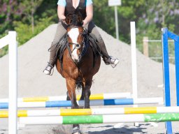 IMG_0665_web